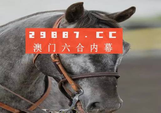 澳门一肖一码一特一挂详细解答、实时解答解释落实